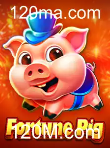 FortunePig: O Excitante Mundo de 120M.com