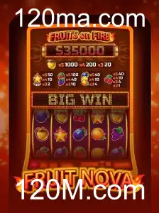 Descubra o Empolgante Mundo de FruitNova