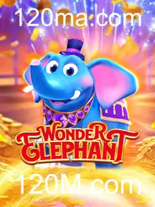 Descubra o Mundo de WonderElephant: Um Jogo de Aventura e Estratégia